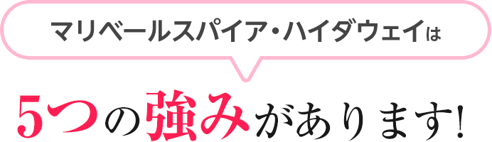 マリベールスパイア・ハイダウェイは5つの強みがあります！